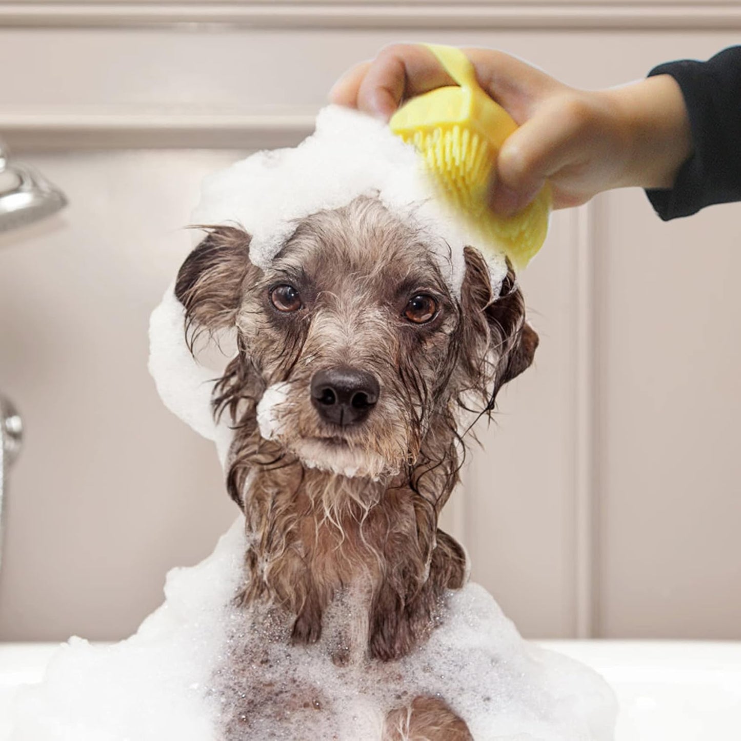 Silicone Pet Grooming Fur Brush by My Store